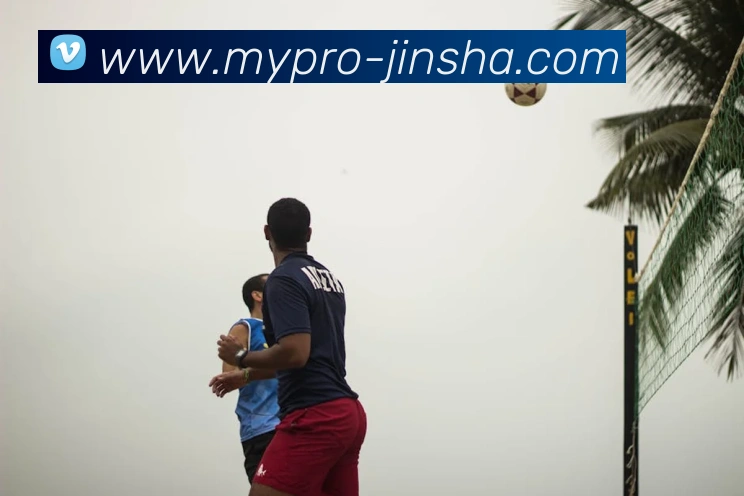 澳门金沙官网平台生态图